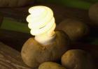 土豆發電是什么原理？