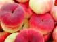 新疆哪里的桃子最有名最好吃？